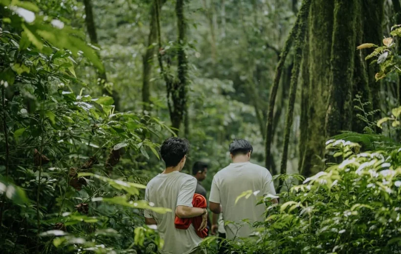 Munduk Rainforest Trekking and Canoeing Experience