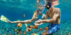 Lovina: Dolphin Watching, Swimming and Snorkeling