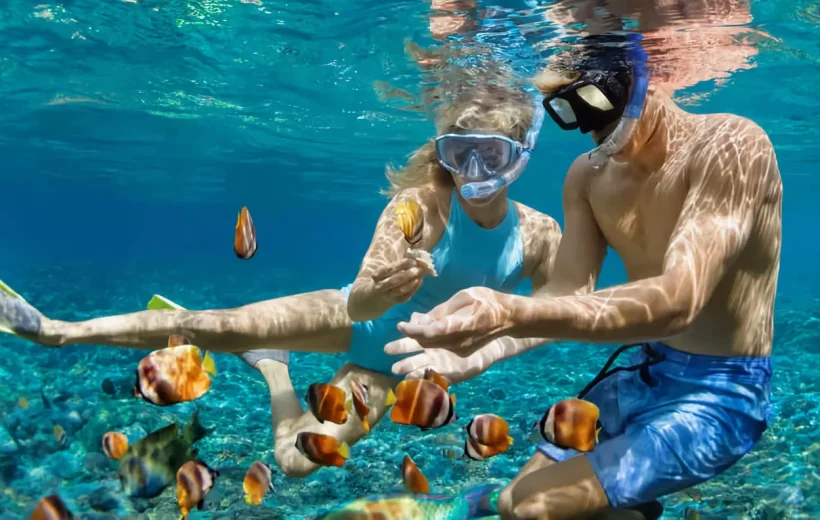 Lovina: Dolphin Watching, Swimming and Snorkeling
